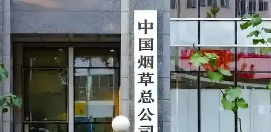 永远不要轻看世界杯上的克罗地亚人